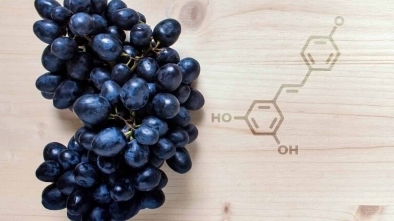 Dark skin grapes on a wood board with the molecular structure of resveratrol laser-etched into the surface