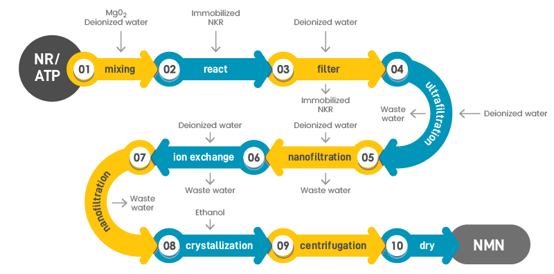 A flow chart describing the 10 manufacturing steps to make NMN aka Nicotinamide Mononucleotide