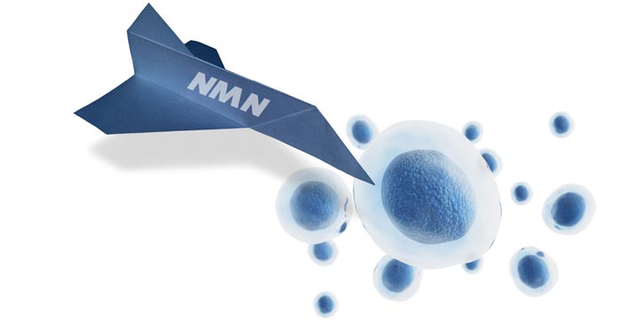 Paper airplane piercing into a human cell