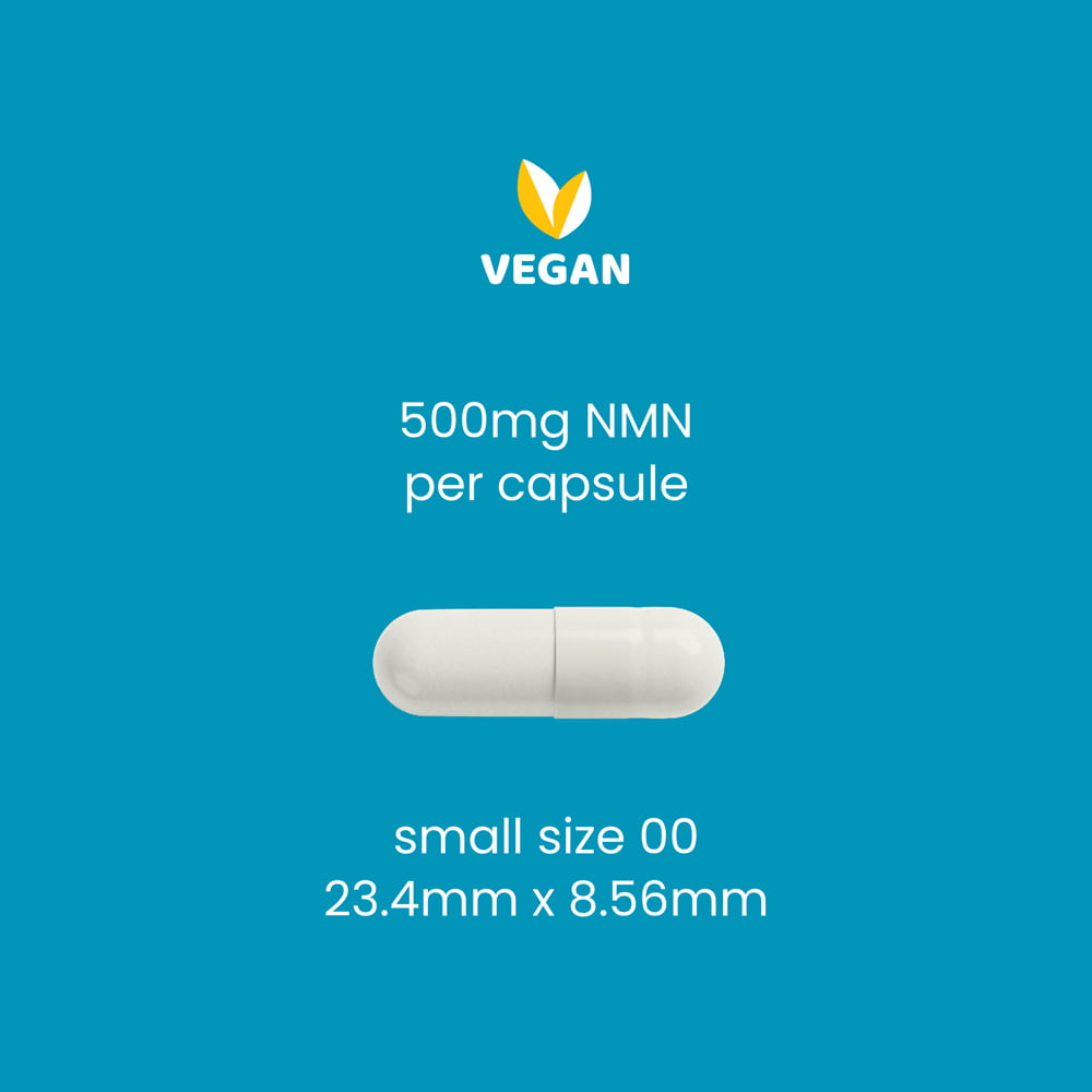 Wonderfeel 500 mg NMN capsule, size 00, dimensions 23.4mm x 8.56mm