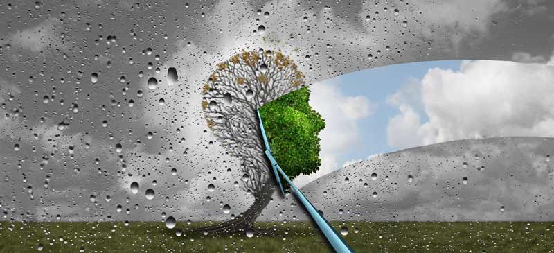 Close-up of a tree symbolizing the concept of reverse ageing with NMN