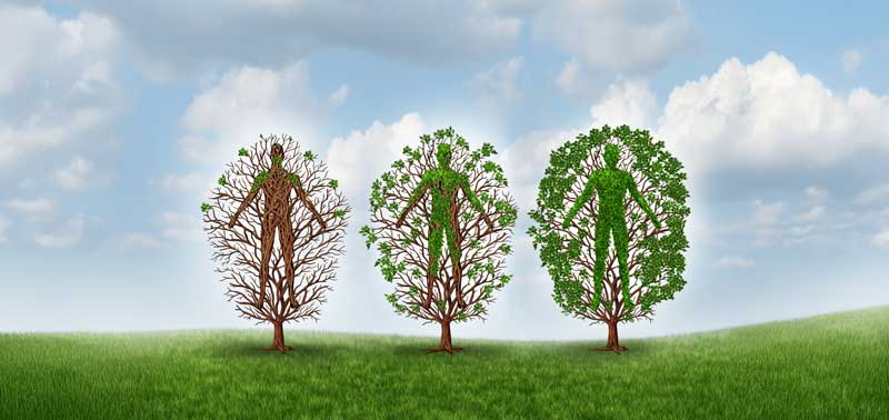 Three human-shaped trees in various stages of growth, illustrating the concept of health and rejuvenation over time
