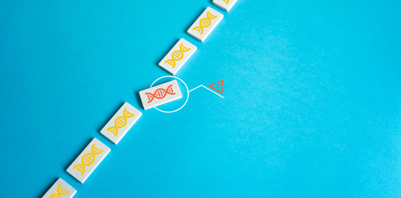 A sequence of DNA icons with one highlighted in red, representing genetic modification or repair, relevant to NAD's role in DNA health