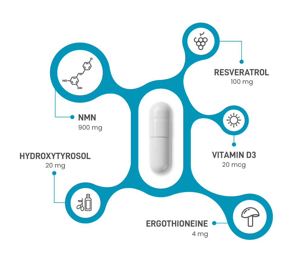 Diagram of Wonderfeel Youngr™, highlighting key ingredients with their respective doses