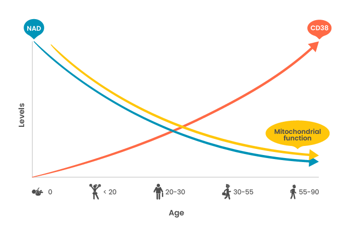 Chart shows CD38 increasing with age